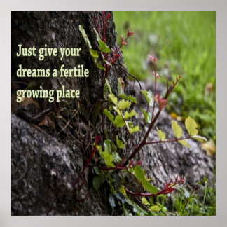 Pôster Boas citações