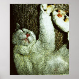 Poster Bob Enjoying A Snooze