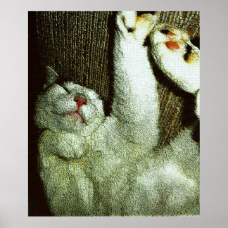 Poster Bob Enjoying A Snooze