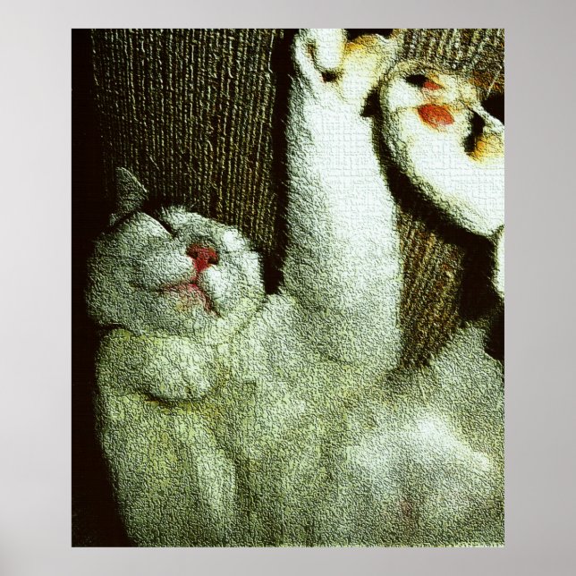 Poster Bob Enjoying A Snooze (Frente)