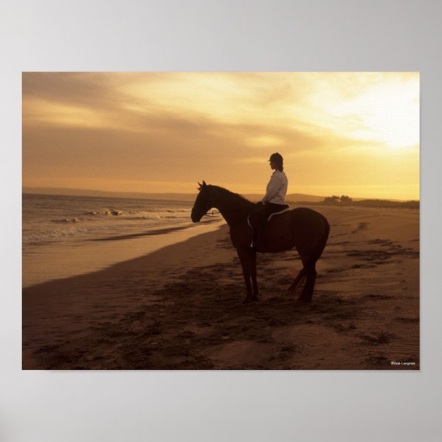 Poster Bob Langrish | Cavalo e cavaleiro na praia no Suns (Frente)