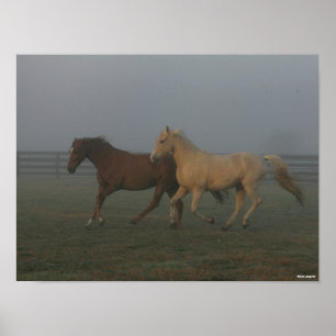 Poster Bob Langrish   Cavalos Andando No Tennessee
