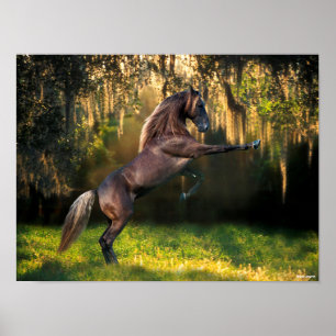 Poster Bob Langrish Criação de Cavalos de Montanha Ro