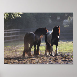 Poster Bob Langrish   Dois Vanners De Cigarro Com Ilumina