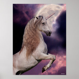 Poster Bob Langrish   Grey Unicorn Rearing