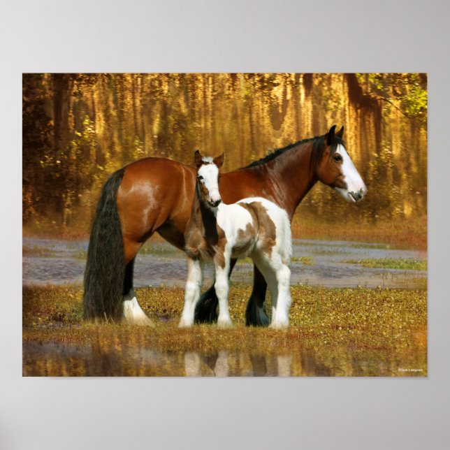 Poster Bob Langrish | Gypsy Vanner Mare and Foal Fantasy (Frente)