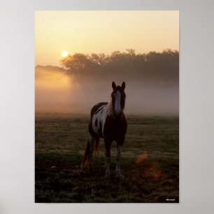 Poster Bob Langrish Paint Cavalo em chamas