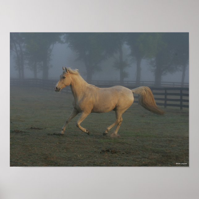 Poster Bob Langrish | Palomino Tennessee Walker em Mist (Frente)