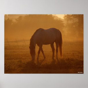 Poster Bob Langrish Raça de Cavalo