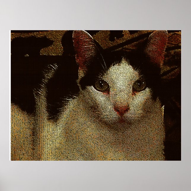 Poster Bob the Serious (Frente)