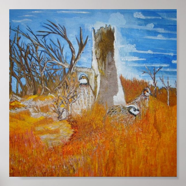 Poster Bob White Quail (Frente)