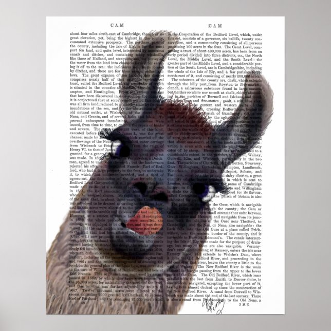 Poster Bobo Llama (Frente)