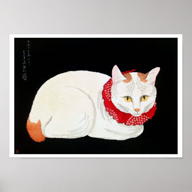 Poster Bobtail Cat japonês, Shotei (Frente)