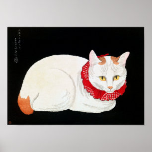 Poster Bobtail Cat japonês, Shotei