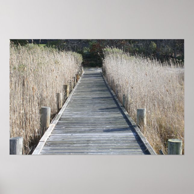 Poster Boca (Frente)