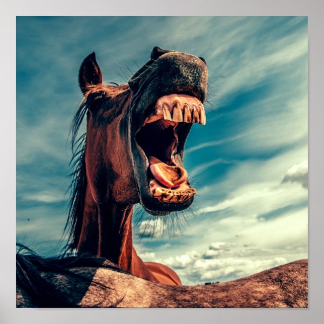 Poster Boca do Cavalo Dente próximo de Cavalo Selvagem (Frente)