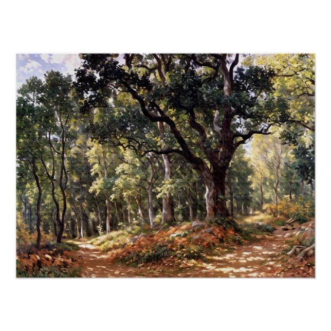 Pôster Bodmer Oak (Frente)