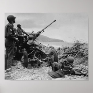 Pôster Bofors AA Gun