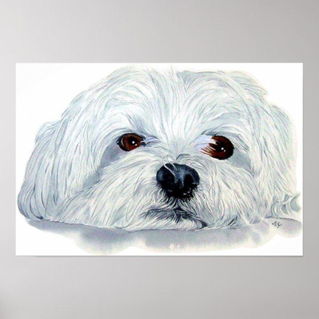 Poster Bogart the Maltese Canvas Print (Frente)
