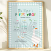 Boi Azul Ganso Primeiro Ano Passado Aniversário