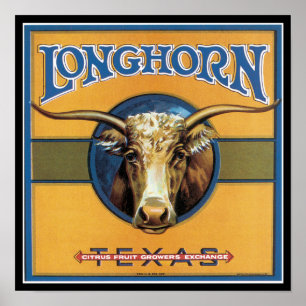 Pôster Boi Longhorn de Texas