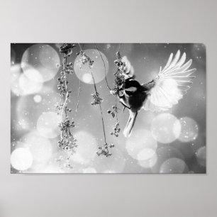 Poster Bokeh Bubbles Flying Hummingbird - B&W