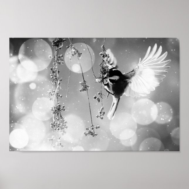 Poster Bokeh Bubbles Flying Hummingbird - B&W (Frente)
