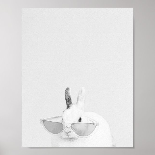 Poster Bola de neve no coelho (Frente)