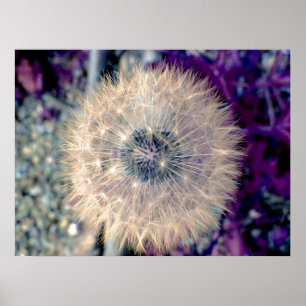 Pôster Bola feericamente