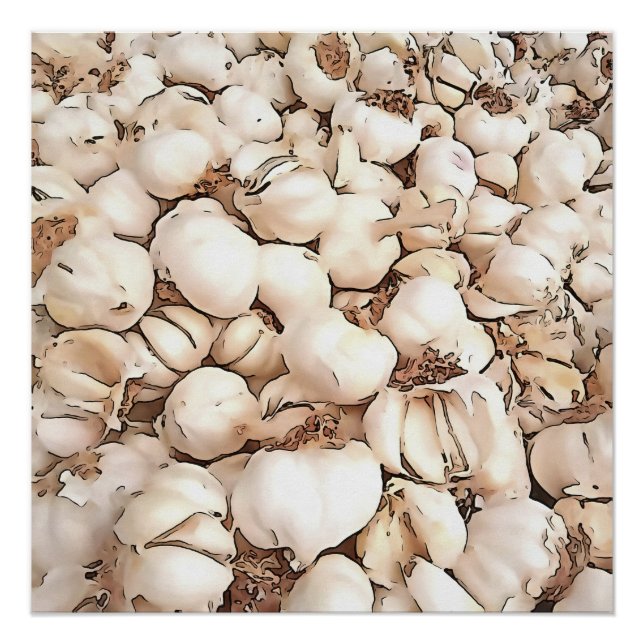 Pôster Bolbos De Arte acrílica De Alho (Frente)