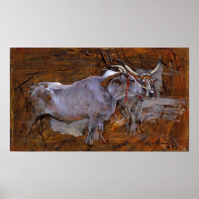 Poster Boldini - Gado 1885 (Frente)
