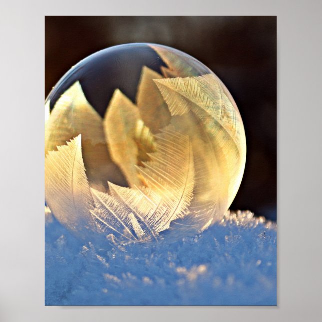 Poster Bolha de sabão na neve (Frente)