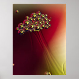 Poster Bolhas Abstratas Flutuantes Fundo Colorido