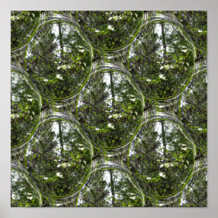 Poster Bolhas de Dogwood....