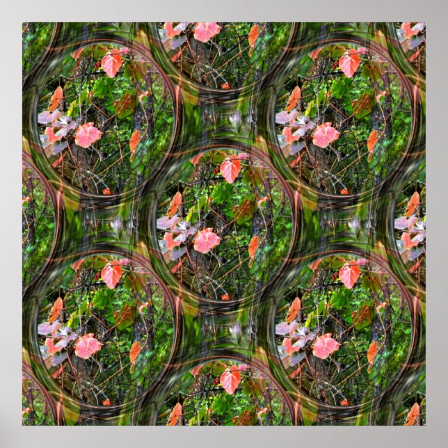 Poster Bolhas no outono...... (Frente)