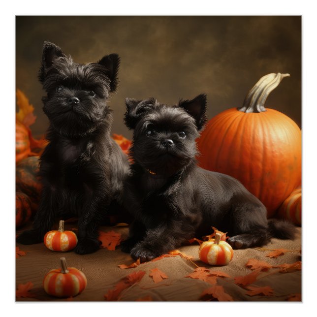 Pôster Boliche Francês Puppy Autumn Delight Pumpkin (Frente)