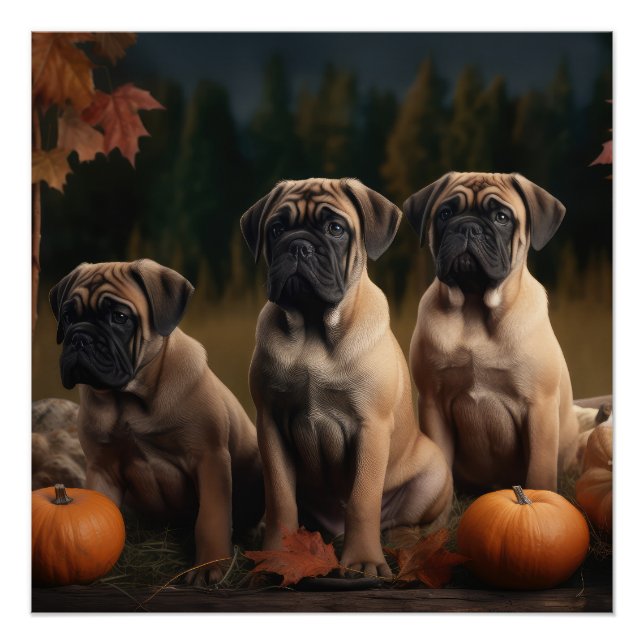 Pôster Bolmastiff Puppy Autumn Delight Pumpkin (Frente)
