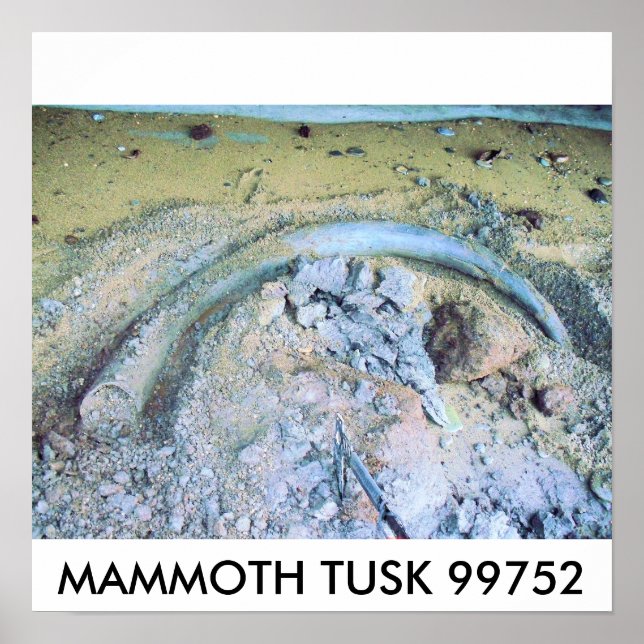 Pôster bolota mamute (2), MAMMOTH TUSK 99752 (Frente)