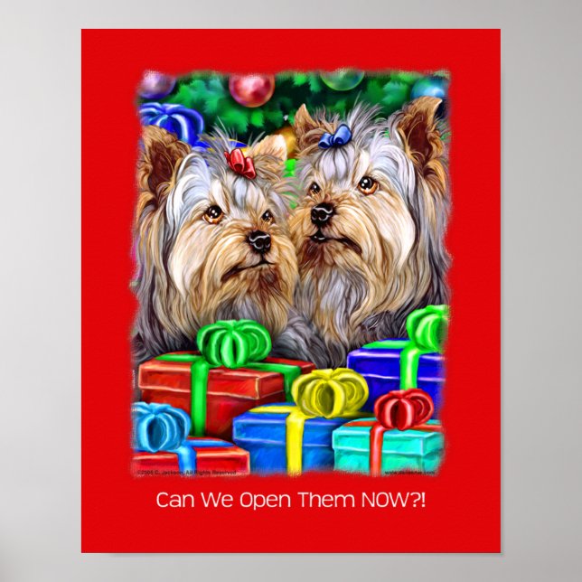 Poster Bolsas de Natal de Yorkshire Terrier (Frente)