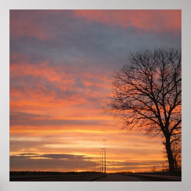 Poster Bolso (Frente)