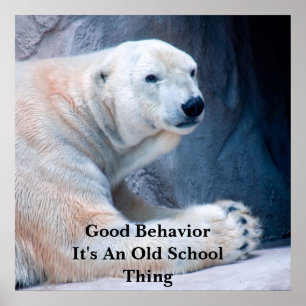 Pôster Bom BehaviorI