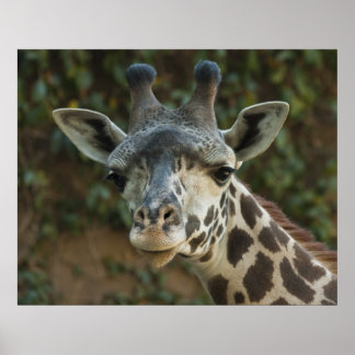 Poster Bom dia, amigo