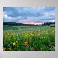 Bom Dia, Meadow.