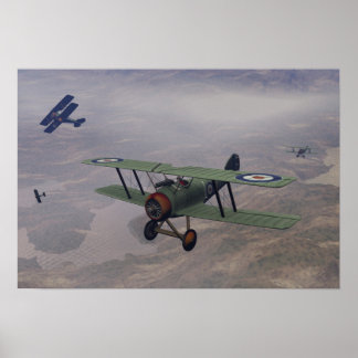 Pôster Bom dia Recém