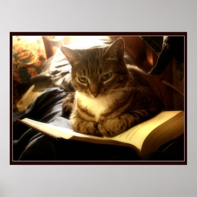 Pôster Bom Livro (Frente)