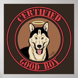 Poster Bom Menino Certificado