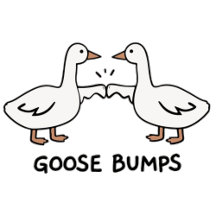 Bombas de ganso