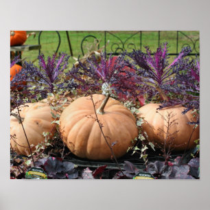 Poster Bombas E Plantas De Queda