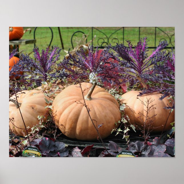 Poster Bombas E Plantas De Queda (Frente)