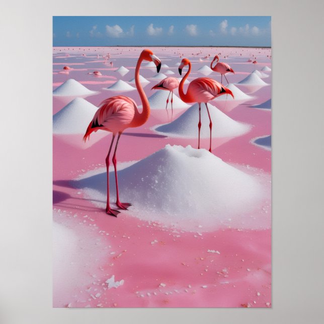 Poster bonaire pink (Frente)